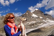 64 Stelina bravissima su sfondo Piz Roseg !
